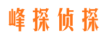 洛扎市私家侦探公司